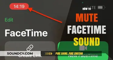 Quick Guide: Muting FaceTime Sounds on iPhone and iPad