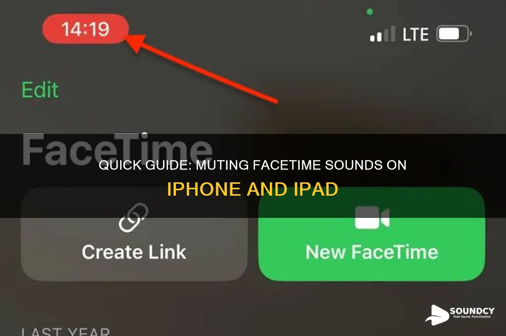 how to mute facetime sound