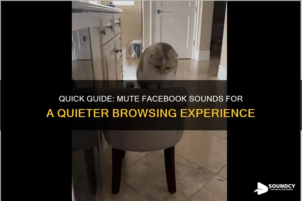 how to mute fb sounds