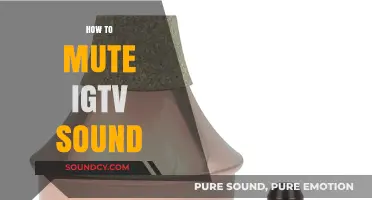 Quick Guide: Mute IGTV Sound Easily on Instagram