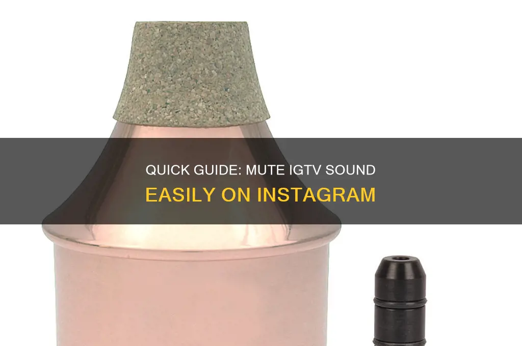 how to mute igtv sound