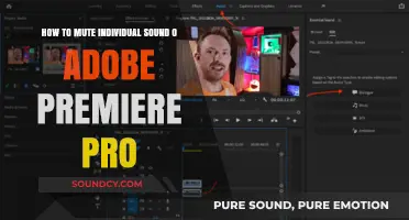 Mastering Audio Control: Muting Individual Sounds in Adobe Premiere Pro