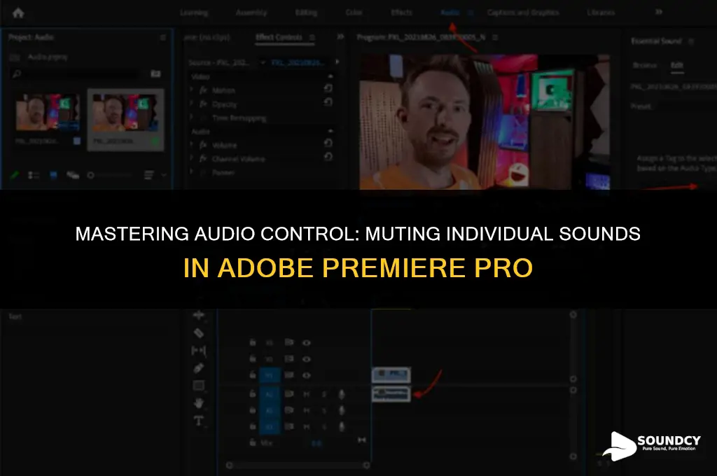 how to mute individual sound o adobe premiere pro