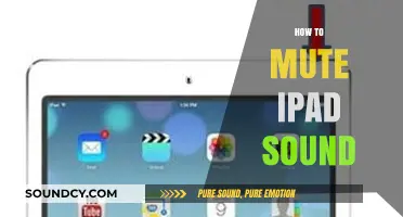 Quick Guide: How to Mute iPad Sound Instantly and Easily