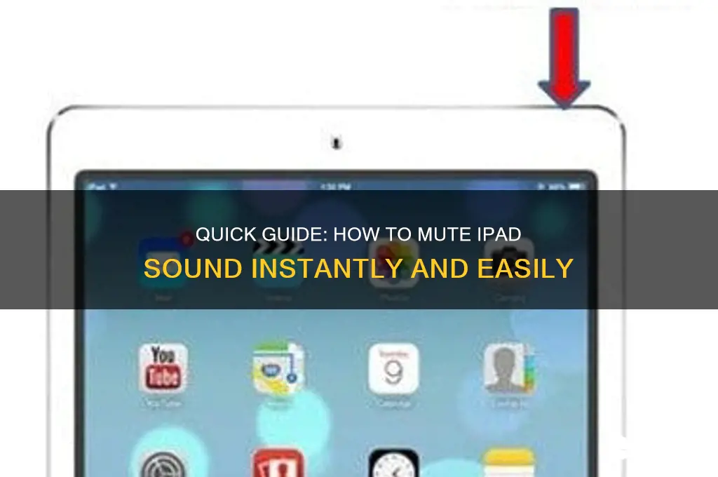 how to mute ipad sound