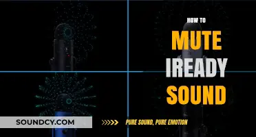 Quick Guide: Muting i-Ready Sounds for a Distraction-Free Learning Experience