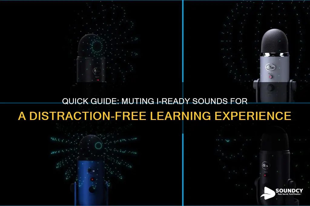 how to mute iready sound