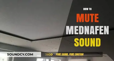 Quick Guide: Muting Mednafen Sound for a Silent Gaming Experience