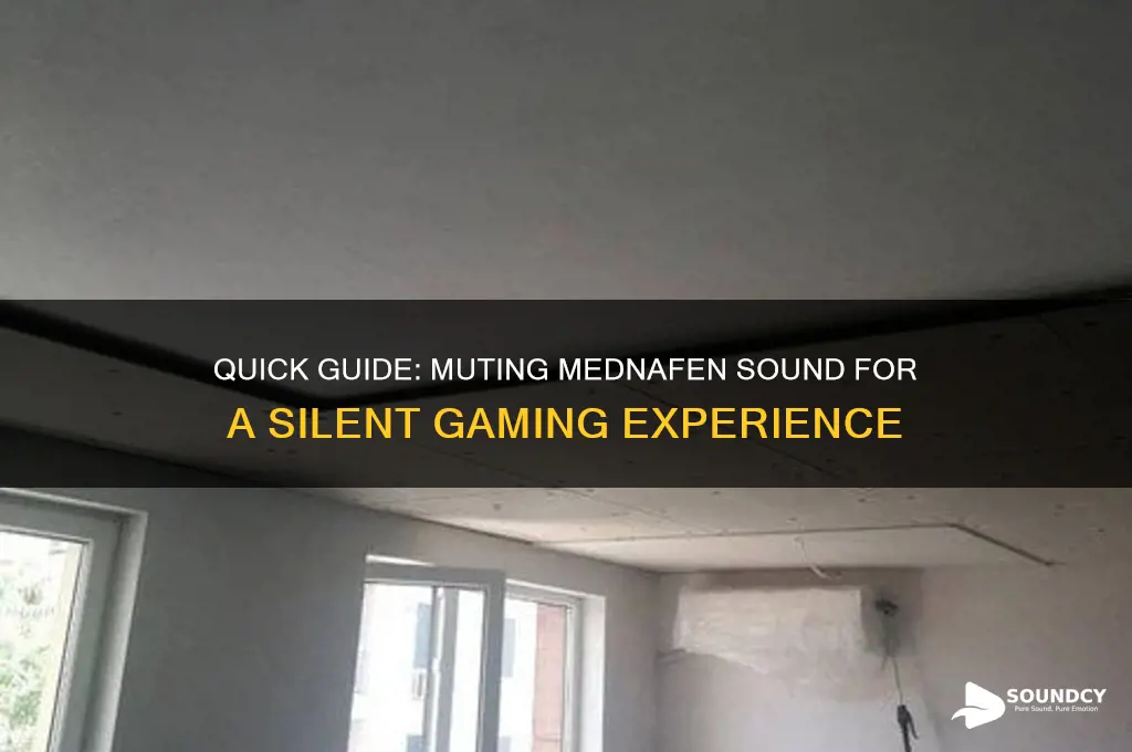 how to mute mednafen sound