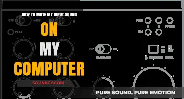 Quick Guide: Muting Your Computer's Input Sound Hassle-Free