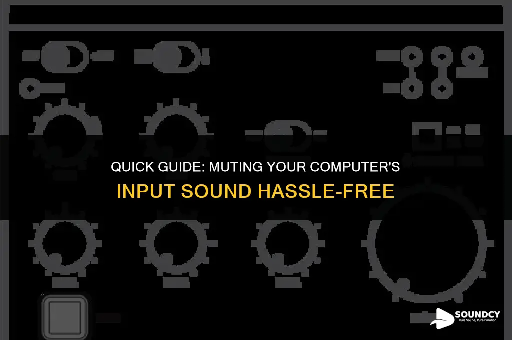 how to mute my input sound on my computer