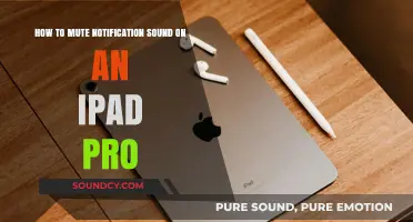 Silencing Your iPad Pro: A Step-by-Step Guide to Muting Notifications