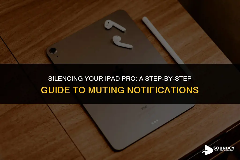 how to mute notification sound on an ipad pro