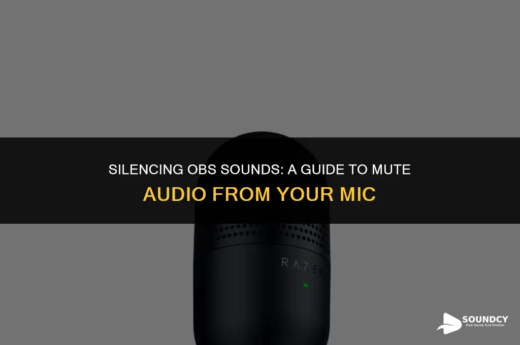 how to mute obs sounds coming through my mic