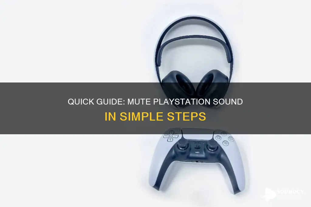 how to mute playstation sound
