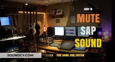 Effective Ways to Mute SAP Sound on Your Devices Easily