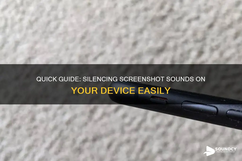 how to mute screenshot sound