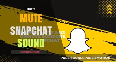 Quick Guide: Muting Snapchat Sounds for a Quieter Experience