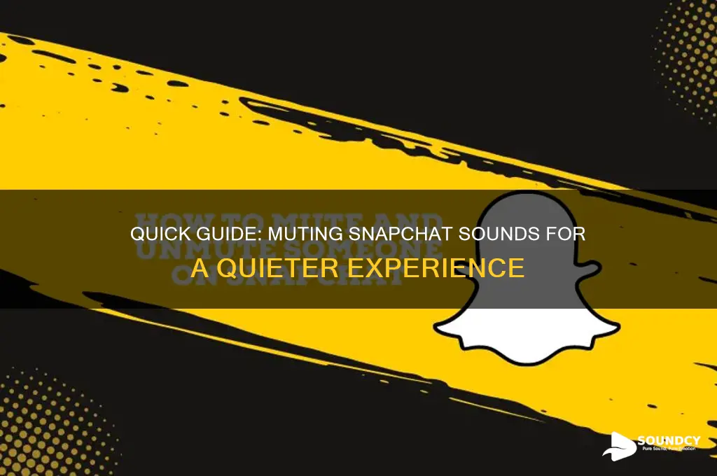 how to mute snapchat sound
