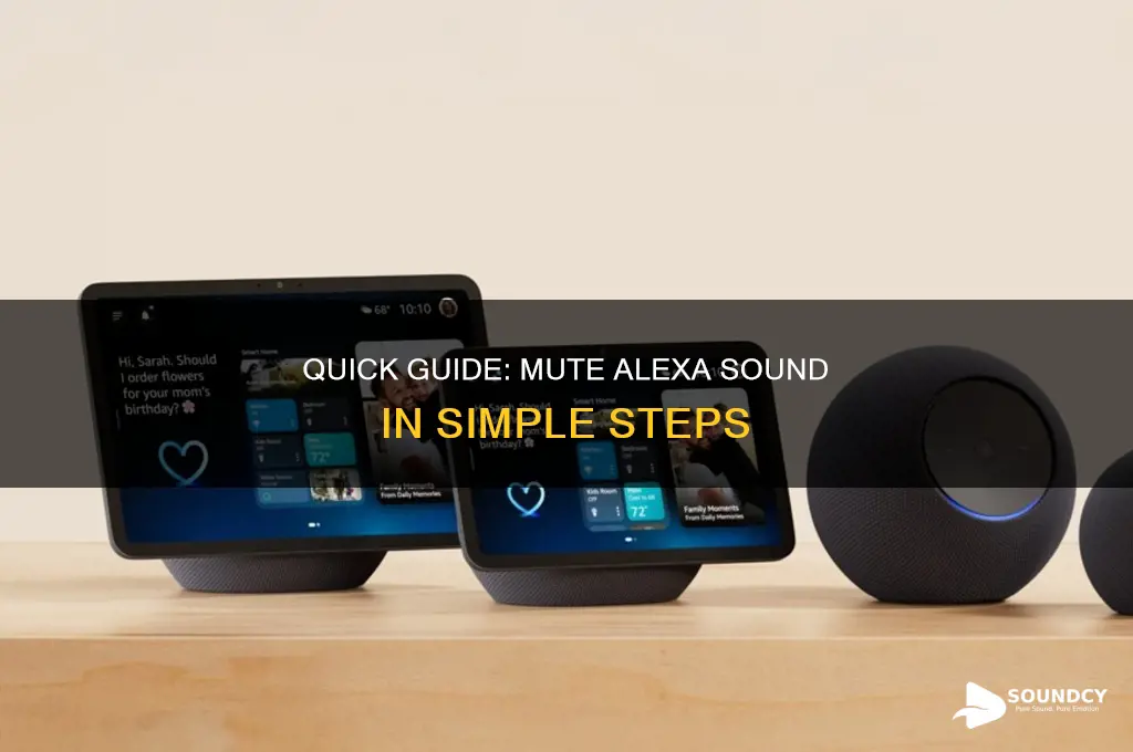 how to mute sound alexa