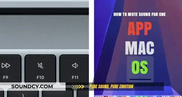 Silencing Specific Apps: A Guide to Muting Sound on macOS