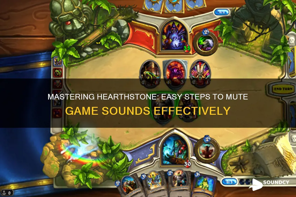how to mute sound hearthstone