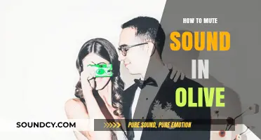 Muting Audio in Olive: A Step-by-Step Guide