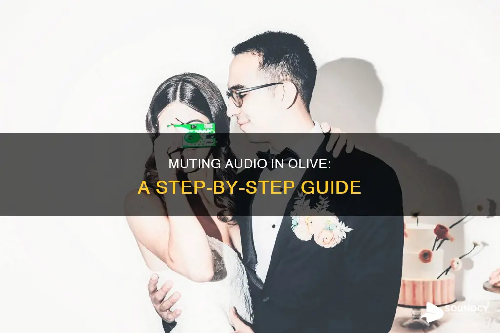 how to mute sound in olive