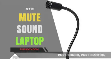 Quick Guide: How to Mute Sound on Your Laptop Easily