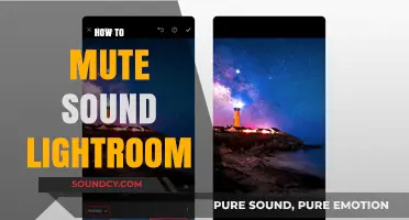 Mastering Lightroom: Quick Steps to Mute Sound Easily