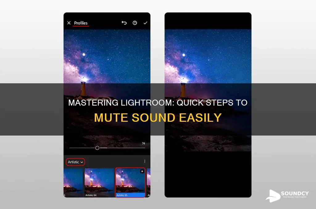 how to mute sound lightroom