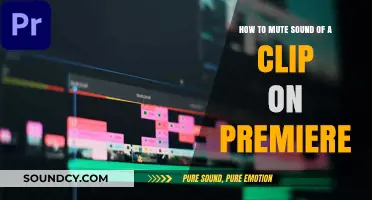 Silencing Clips: A Quick Guide to Muting Audio in Premiere Pro