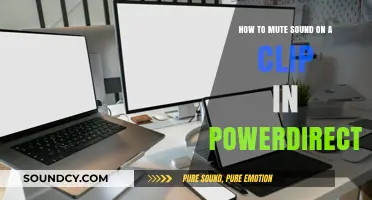 Silencing Clips: A Step-by-Step Guide for PowerDirector 14 Users