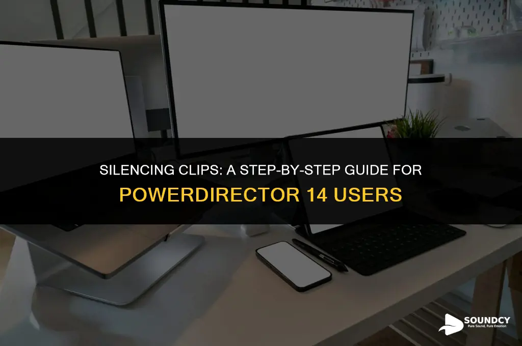 how to mute sound on a clip in powerdirector14