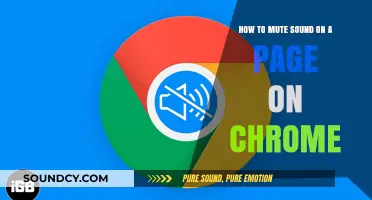 Silencing Webpages: A Chrome User's Guide to Muting Sound