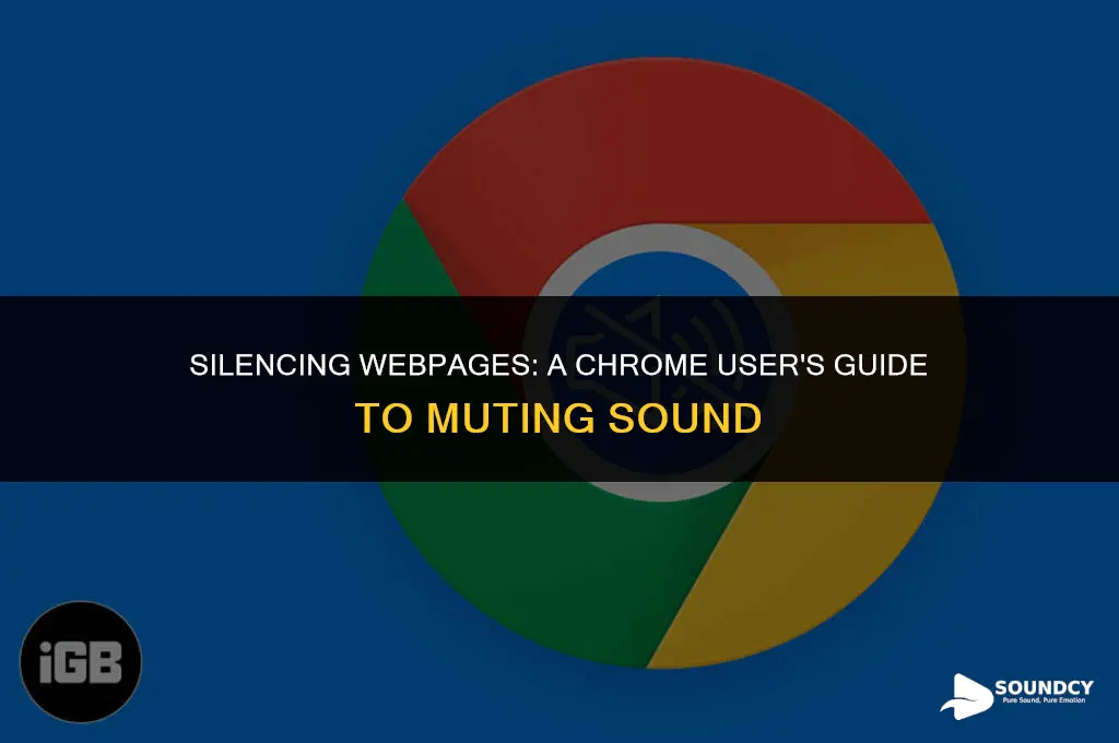how to mute sound on a page on chrome