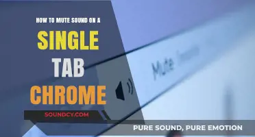 Silencing the Noise: Muting Sound on a Single Chrome Tab