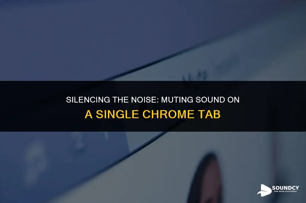 how to mute sound on a single tab chrome