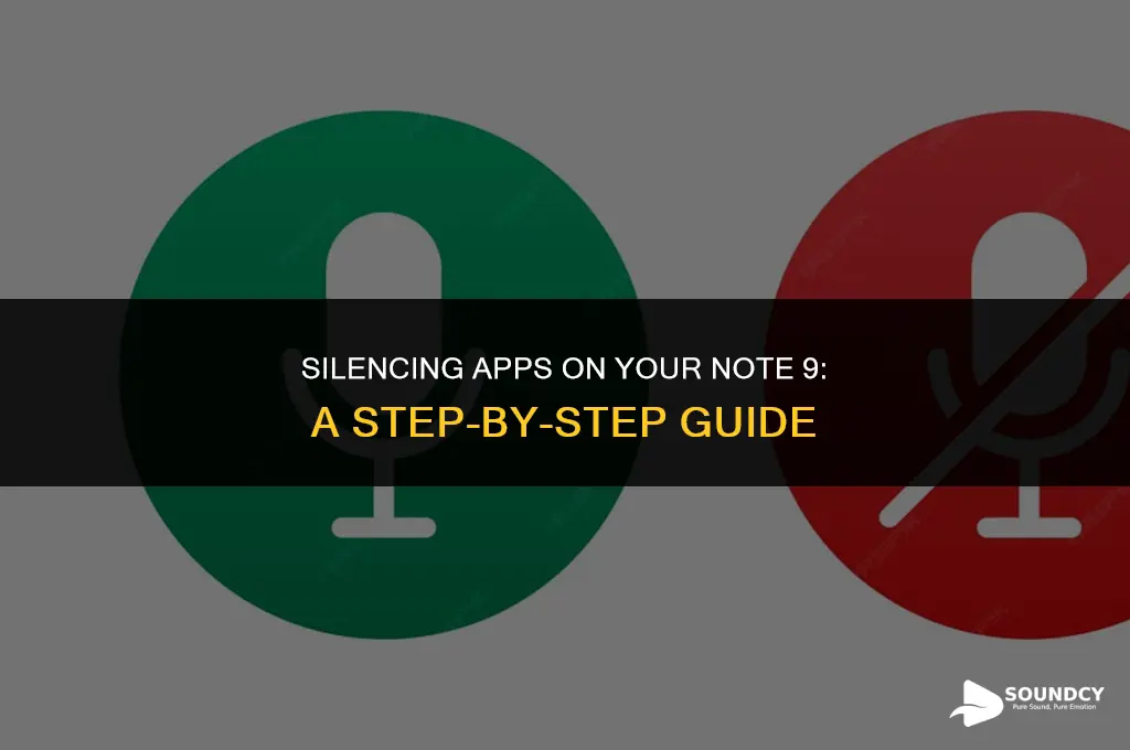 how to mute sound on applications on note 9