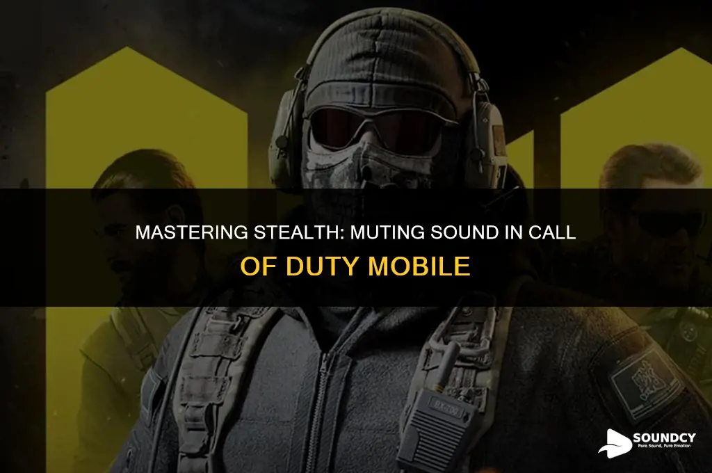 how to mute sound on call of duty mobile
