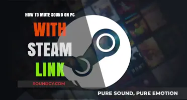 Silencing Steam Link: A Guide to Muting Sound on PC