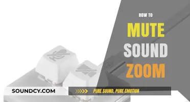 Quick Guide: Muting Sound on Zoom for Distraction-Free Meetings