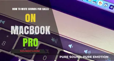 Silencing Your MacBook Pro: A Guide to Muting Call Sounds