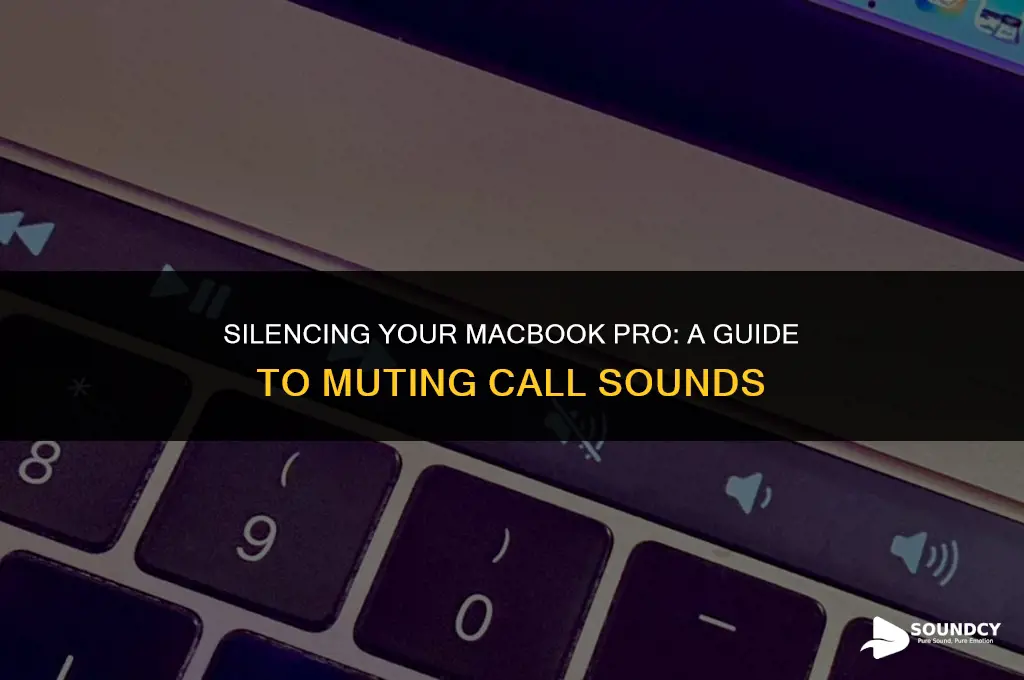 how to mute sounds for calls on macbook pro