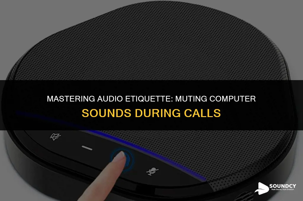 how to mute sounds from computer on a call