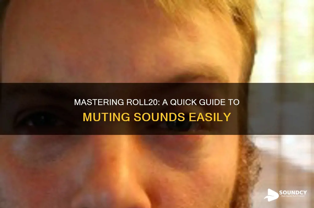 how to mute sounds roll20