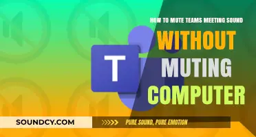 Silencing Teams Meetings: A Guide to Muting Without Affecting Your Computer