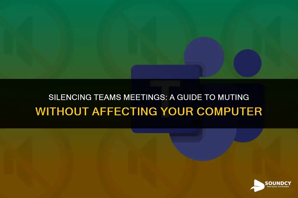 how to mute teams meeting sound without muting computer
