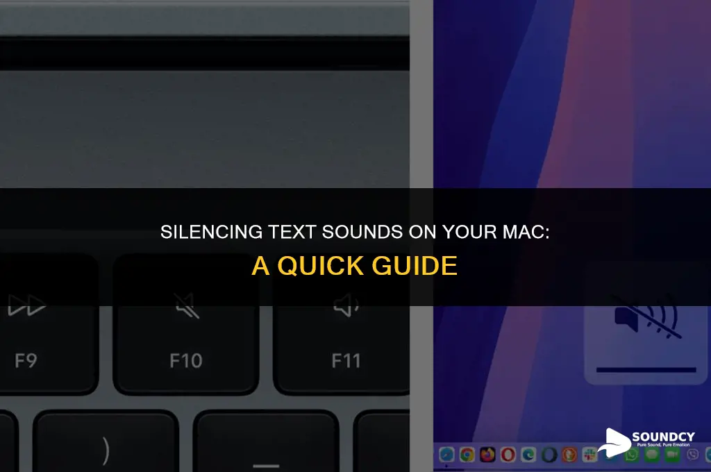 how to mute text sound on computer mac ai