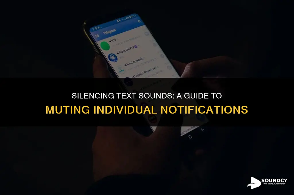 how to mute text sounds from a single person